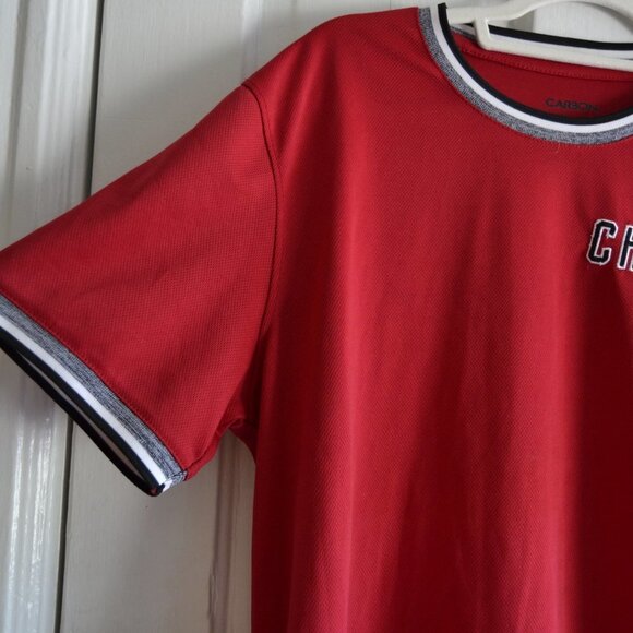 Carbon "Chicago" Embroidered Short Sleeve Jersey Tee Size Large - Picture 7 of 14